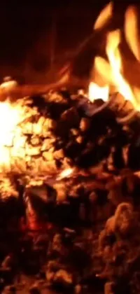 This stunning phone live wallpaper offers a close-up view of a crackling fire in a cozy fireplace