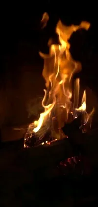 Fire Flame Heat Live Wallpaper