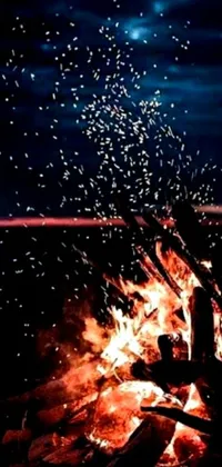 This phone live wallpaper depicts a serene campfire in a natural setting, complete with plenty of birds fluttering around it