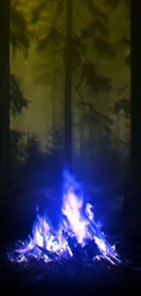 Fire Tree Bonfire Live Wallpaper