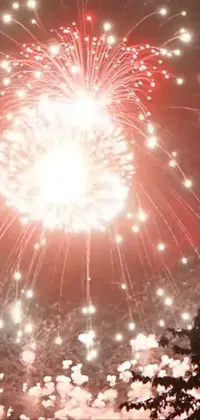 Fireworks Atmosphere Sky Live Wallpaper