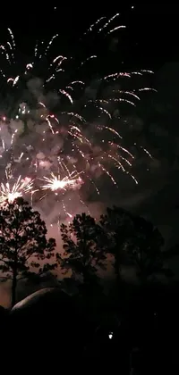 Fireworks Atmosphere Sky Live Wallpaper