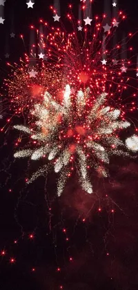 Fireworks Entertainment Celebrating Live Wallpaper