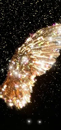 Fireworks Gold Astronomical Object Live Wallpaper