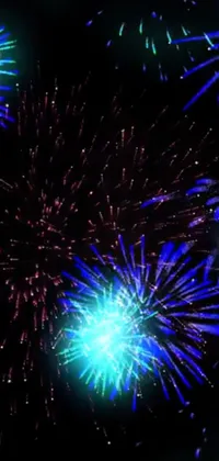 Fireworks Light Nature Live Wallpaper