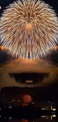 Fireworks Light Sky Live Wallpaper