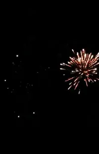 Fireworks Midnight Sky Live Wallpaper