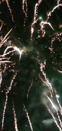 Fireworks Nature Celebrating Live Wallpaper