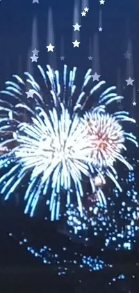 Fireworks Organism Purple Live Wallpaper