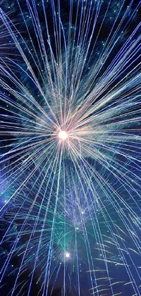 Fireworks Organism Sky Live Wallpaper