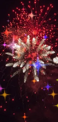 Fireworks Pink Entertainment Live Wallpaper