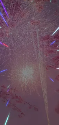 This phone live wallpaper features a dazzling display of fireworks against a traditional Japanese picture
