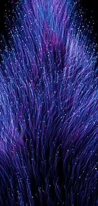 Fireworks Purple Sky Live Wallpaper