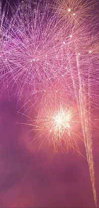 Fireworks Atmosphere Water Live Wallpaper