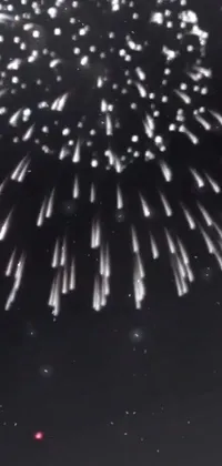 Fireworks Sky Atmospheric Phenomenon Live Wallpaper