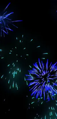 Fireworks Sky Black Live Wallpaper