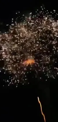 Fireworks Sky Celebrating Live Wallpaper