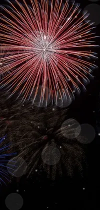 Fireworks Sky Entertainment Live Wallpaper