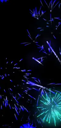 Fireworks Sky Entertainment Live Wallpaper