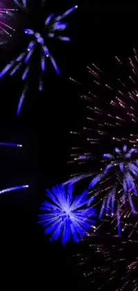 Fireworks Sky Light Live Wallpaper