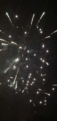 Fireworks Sky Midnight Live Wallpaper
