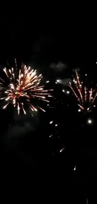 Fireworks Sky Recreation Live Wallpaper