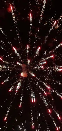 Fireworks Water Sky Live Wallpaper