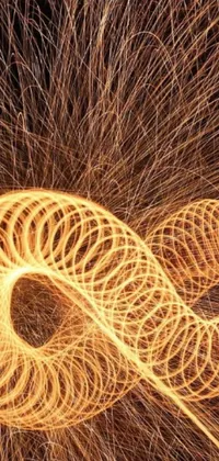 Get lost in the captivating flames of this mesmerizing long exposure photograph captured in a stunning spiral