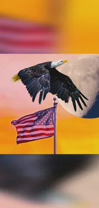 Flag Gesture Bird Live Wallpaper