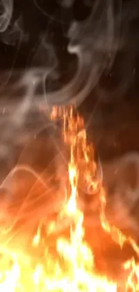 Flame Fire Bonfire Live Wallpaper