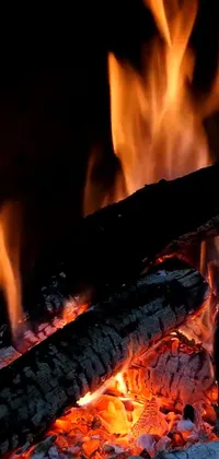 Flame Fire Campfire Live Wallpaper