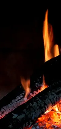 Flame Fire Charcoal Live Wallpaper