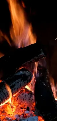 Flame Fire Heat Live Wallpaper
