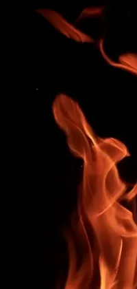 Flame Gas Heat Live Wallpaper