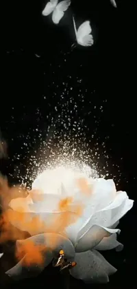 Flash Photography Fire Darkness Live Wallpaper