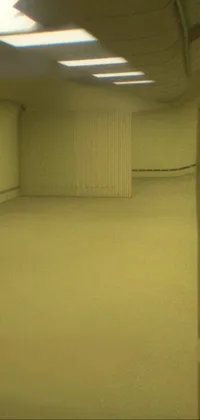This phone live wallpaper depicts an empty room with a wallpapered wall, a door, and a yellow carpeted floor