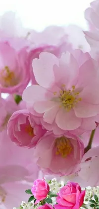 This phone live wallpaper features a romantic image of a vase filled with delicate pink flowers topped by cherry blossoms