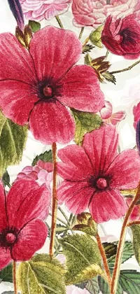 Flora Flower Plant Live Wallpaper