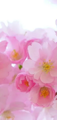 This stunning live wallpaper displays a close-up of pink flowers in intricate detail