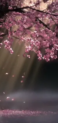 Flower Atmosphere Branch Live Wallpaper