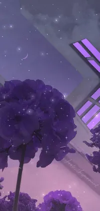 Flower Atmosphere Sky Live Wallpaper