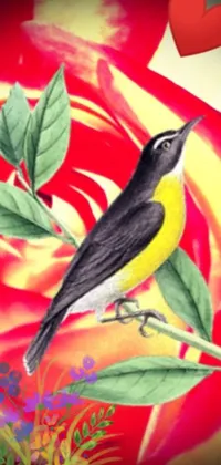 Flower Bird Beak Live Wallpaper