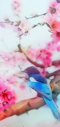 Flower Bird Petal Live Wallpaper