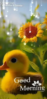This live wallpaper portrays a yellow duck happily sitting alongside gorgeous sunflowers in a grassy meadow