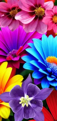 Add a touch of nature's beauty to your device with this phone live wallpaper, featuring a dazzling, highly-saturated close-up photograph of colorful daisy flowers