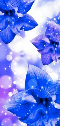 Flower Blue Photograph Live Wallpaper