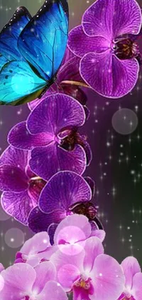 Flower Blue Purple Live Wallpaper