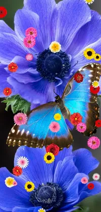 Flower Blue Purple Live Wallpaper