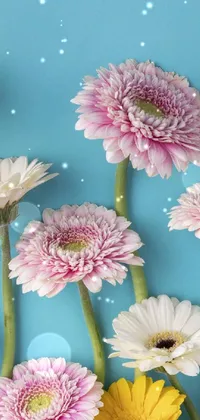 Flower Botany Blue Live Wallpaper