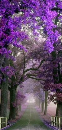 Flower Botany Purple Live Wallpaper